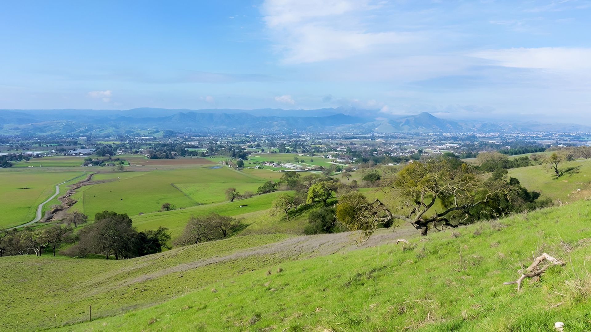 A vast, grassy hillside overlooks a valley with green fields, scattered trees, and distant buildings under a blue, partly cloudy sky.