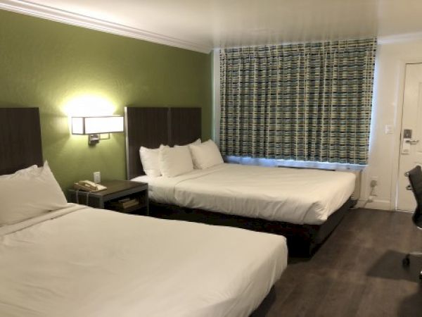 Two double beds in a hotel room with green accent wall, nightstand, desk chair, and striped curtains, neat and modern.
